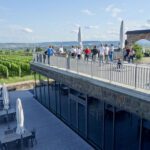 Steinberger in Rheingau - a view from the terrrace - (picture credit: Deutsches Weininstitut)