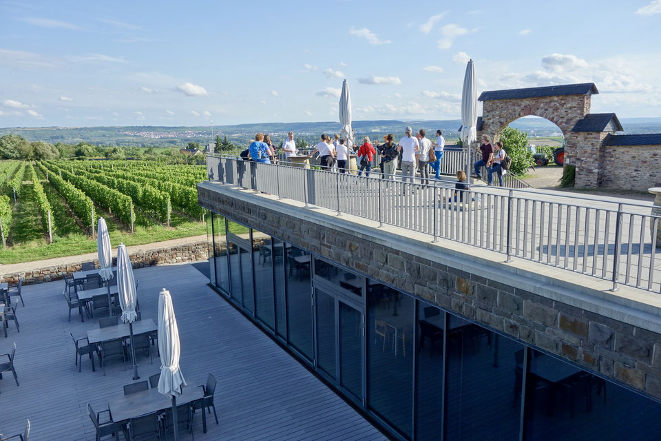 Steinberger in Rheingau - a view from the terrrace - (picture credit: Deutsches Weininstitut)